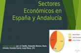 Sectores en España y Andalucía 3ºA