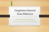 Desarrollo Segunda Estrategia-Lingüística General-2017