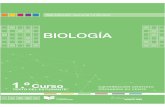 Biologia BGU - Ácidos Nucleico