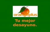 Presentacion de las naranjas