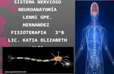 Sistema nervioso unidad 1