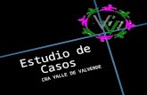 Estudio de casos CRA Valle de Valverde