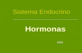 Sistema endócrino (hormonas)