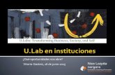 U lab instituciones VG 16062015