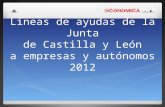 Líneas de ayudas de la junta de Castilla y León a empresas y autónomos2012