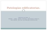 Patologías edificatorias