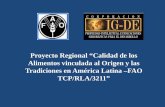 Normativa de Denominaciones de Origen en Ecuador y Resultados del caso piloto “Cacao Arriba”, Pablo Carrillo, Corporación IG-DE. (spanish)