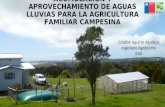 Sistema de Captación, Acumulación y aprovechamiento de aguas lluvias para la agricultura familiar campesina