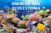 Tema 7 A materia e a enerxía nos ecosistemas