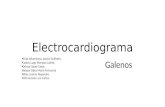 Diapositivas electrocardiograma