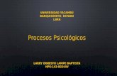 Larry lampe-slidetarea2hps14300244v