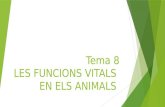 1r ESO - Biologia i Geologia - Tema 08 - Les funcions vitals en els animals