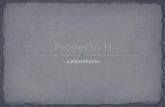 Proyecto 1-H laboratorio