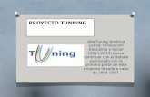Proyecto tunning