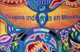 Grupos indígenas en México