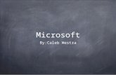 Microsoft presentation