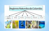 REGIONES NATURALES DE COLOMBIA