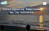 Inteligencia emocional fuengirola