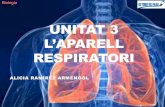 Unitat 3 l’Aparell Respiratori
