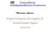 Presentació Consultoria d'Independència Financera