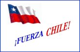 Fuerza Chile!4
