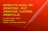 Apendicitis aguda pre y post operatorio. plastron flemon masa apendicular. cirugia laparoscopica y abierta. 01.10.15