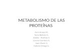 Metabolismo de las proteínas