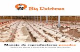 Manejo de Reproductoras Big Dutchman