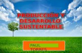 Produccion y Desarrollo Sustentable