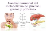 Control hormonal del metabolismo de glucosa, grasas y proteìnas.
