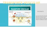 Transporte vesicular-pptx