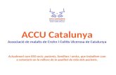 ACCU Catalunya