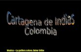 Cartagena de indias _colombia