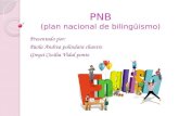 El PNB (El Programa Nacional de Bilingüismo) estrategias positivas