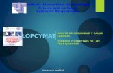 Presentación lopcymat (1)