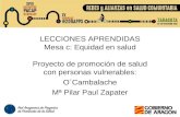 #20RAPPS.Proyecto de promoción de salud con personas vulnerables O´Cambalache. Fundación Cruz Blanca. Pilar Paul. Trabajadora Social. Huesca.