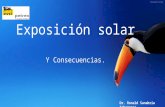 Exposicion solar y consecuencias.