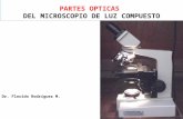 Partes opticas del microscopio de luz compuesto