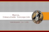Tema 3 : Inmaculada Concepción