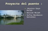 Proyecto Del Puente