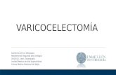 Varicocele y varicocelectomía tratamiento quirúrgico