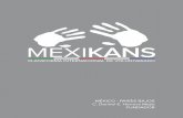 Brochure oficial Plataforma Internacional de Voluntariado MexiKans
