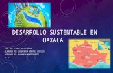 Desarrollo sustentable-en-oaxaca