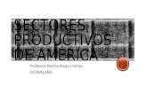 Sectores Productivos de América