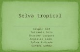Selva tropical (2)