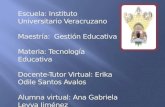 Docente tutor virtual y sus funciones gabriela-leyva
