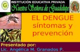 El dengue  síntomas-prevención
