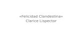 Felicidad Clandestina - Microtaller
