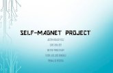 Projecte Self-Magnet