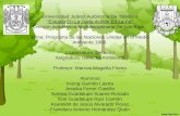 Programa de las naciones unidas en el medio ambiente(PNUMA)